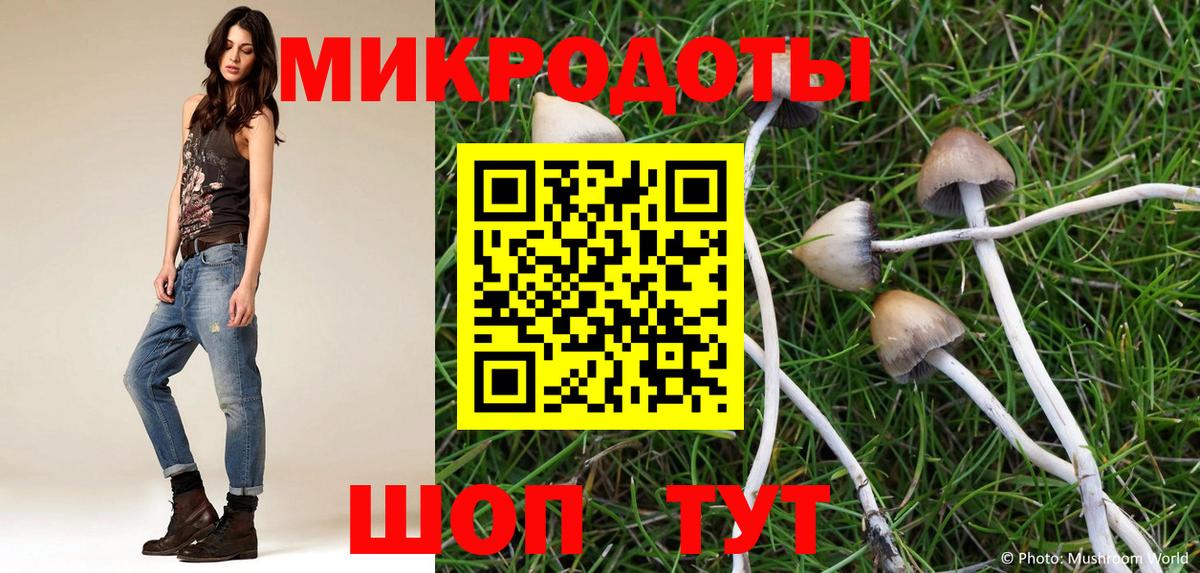 Галлюциногенные грибы Cubensis  Вход с VPN  Галлюциногенные грибы Cubensis  Лесосибирск 